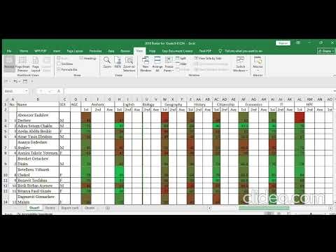 Professional Excel Data Entry & Portfolio Showcase | Shambel Adane