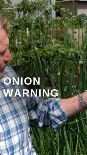 Bolting Onions Ruined My Crop—Here's How To Save Yours #gardeningtips #vegetables #fails
