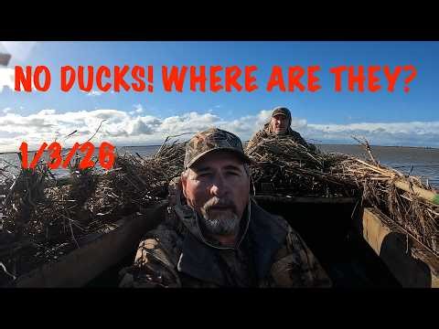 WHERE DID ALL THE DUCKS GO? DUCK AND GOOSE HUNTING IN THE SACRAMENTO VALLEY, CA!