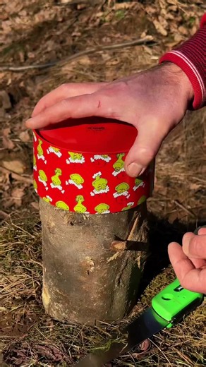 Camping Survival Ideas: Essential Outdoors Tips for Campers