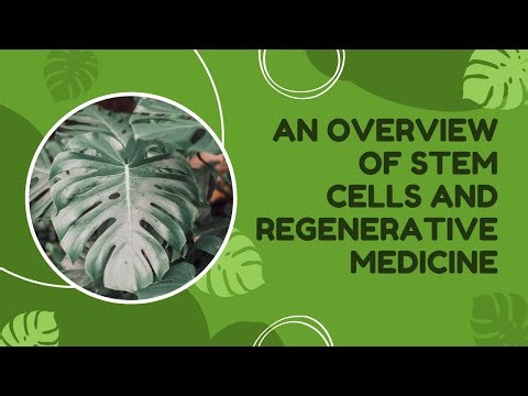 An overview of Stem cells and Regenerative medicine