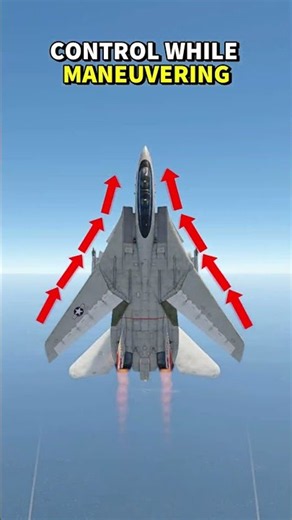The F-14 Tomcat's Secret Pair of Wings!?