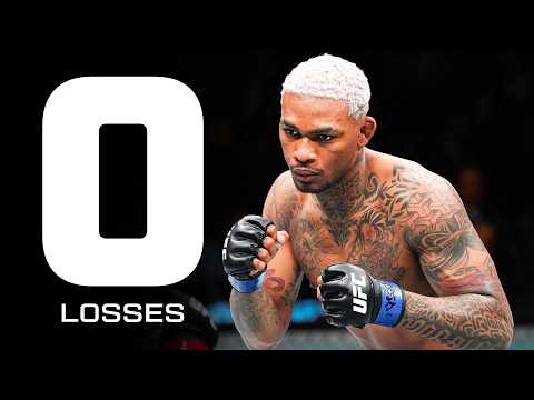 Every Undefeated Fighter In The UFC 🚨