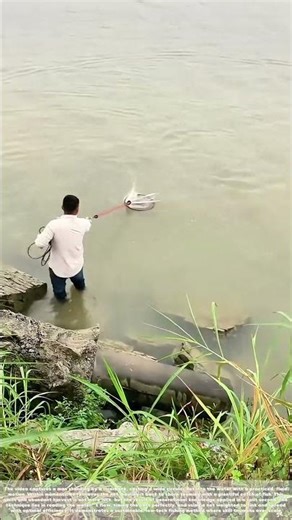 Hook to Harvest: The Ancient Net That Never Fails