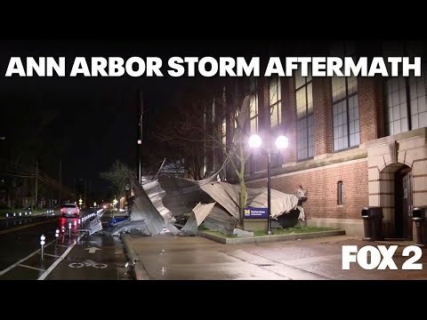 Significant storm damage around Ann Arbor