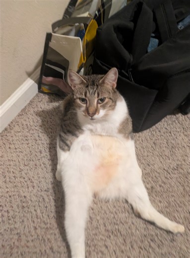 #thoughtsonbowling #fypシ #fyp #fypシ゚viral #what