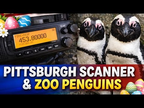 Pittsburgh LIVE Scanner Feed - FIRE - Police - EMS 4-7-2026