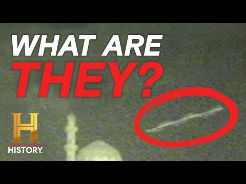 Creatures Too Fast to See (S1, E11) | MonsterQuest | Full Episode