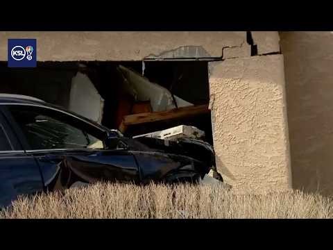 Car crashes into Sandy animal adoption center