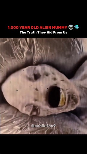 1,000 YEAR OLD ALIEN MUMMY. 🏚️🛸 THE TRUTH THEY HID #shorts #ancientmystery