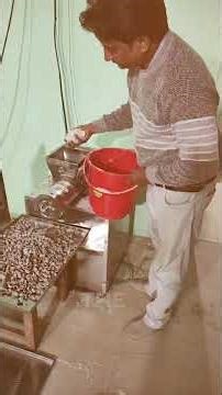 Millet Pasta Manufacturing Unit Launch in MP | MBF #millets #manufacturing #healthyeating #food