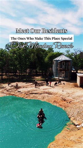 Luxury Ranch Getaway Near Dallas: Giraffe Barn & Wildlife
