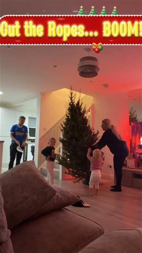 Giant Christmas Trees EXPLODING Off Ropes! 😂🎄💥 #funny #meerychristmas