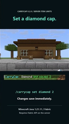 Set item caps in game. CarryCap 0.2.0 #Minecraft