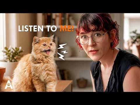 We've Been Misreading What Our Cats Are Saying