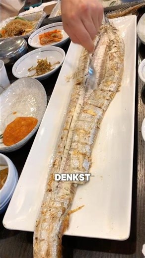 Deswegen darfst du diesen Fisch nicht berühren 🤯 #shorts