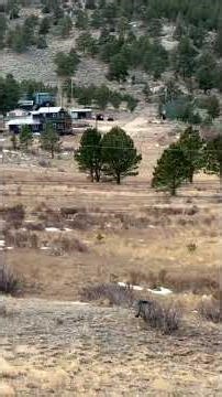 Some power poles and lines down in Estes Park