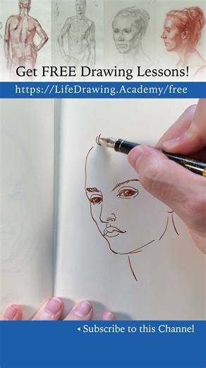 Fast portrait sketching: https://lifedrawing.academy/free