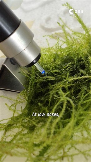 The future of space travel might be sitting in your fish tank 🌱