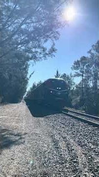 Amtrak Silver Meteor at Full Speed In The Florida Sunshine