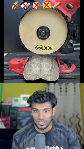 Cutting a Turtle Shell with Unusual Objects!