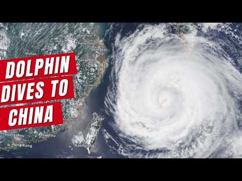 Typhoon Dolphin Prepares to Dive Into Mainland China as Pacific Stays Active