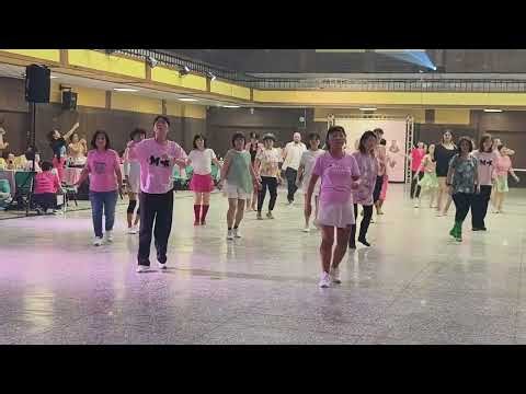 Cheat Code line dance (iDance 2026)