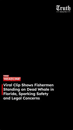 Truth Route News on Instagram: "A viral video circulating online shows two fishermen climbing onto the carcass of a dead whale floating in Florida waters, triggering widespread concern over public safety and wildlife protection laws. In the footage, the men are seen posing for selfies and joking about the risk of the whale exploding due to gas buildup inside the decomposing body. Their behavior, which viewers described as reckless, quickly drew backlash across social media platforms. The exact l