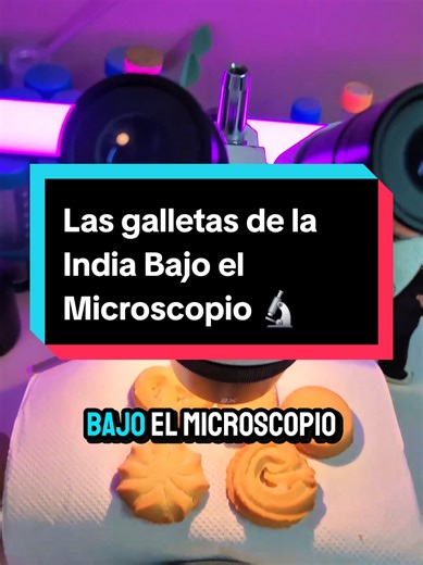 Galletas de la India Bajo el Microscopio