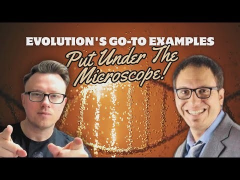 Lenski & Nylonase: Evolution’s Favorite Beneficial Mutations Debunked by a PhD Microbiologist