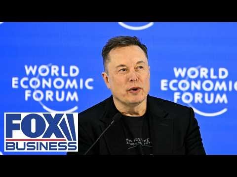 'Elon Musk driver’ still fueling investor demand despite Tesla volatility: Strategist