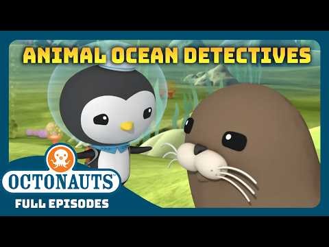 @Octonauts - 🕵️ Animal Ocean Detectives 🔍 | 30 Mins+ Full Episodes Marathon