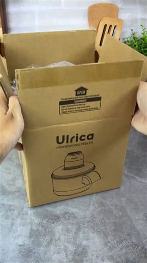 IceCell Steam Machine Review | Best Kitchen Gadget 2025?