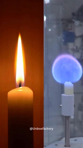 In zero gravity, a candle flame behaves in a completely unexpected way. Instead of forming the familiar yellow, teardrop-shaped flame that rises upward on Earth, the flame becomes a small, blue, floating sphere. This happens because, without gravity, hot gases don’t rise and cold air doesn’t sink—eliminating the convection currents that shape flames on Earth. On our planet, gravity pulls cooler, oxygen-rich air downward while hot combustion gases rise, stretching the flame upward and giving it a