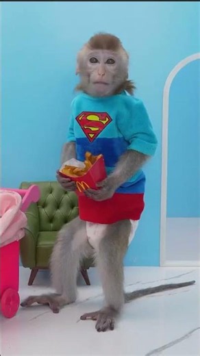 Monkey Baby #monkey #animalshome #bobykidstv #kidsvideo #monkeybaby