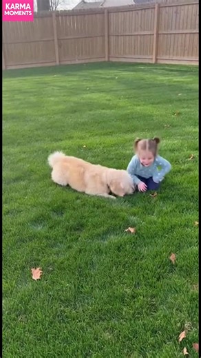 Girl and Dog's Rolling Fun A heartwarming moment of a girl and her dog rolling together! #fblifestyle #AI Generated using Kling AI . . . (For entertainment purposes only. Consult professionals if guidance on activities is presented. No brand affiliation is implied if any are shown. If inspired by true events, creative adaptations may be included. Content may include public footage.) | Fabiosa UK