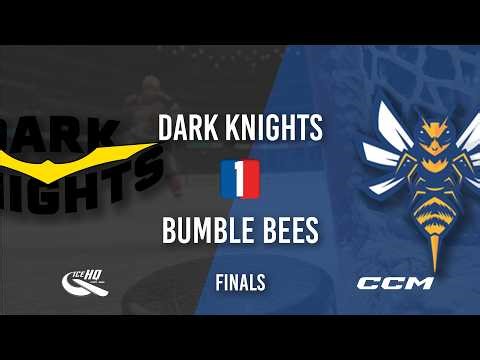 Dark Knights vs Bumble Bees - Div - GRAND FINAL 2 - 23rd March - iceHQ Rec League ice hockey