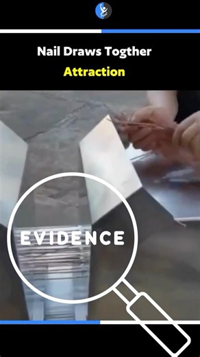 👉🏻Magnetic Sorting Nails🔥 #physicsconcept #physicsfacts #viralshort #trending #neet #iitjee #csir