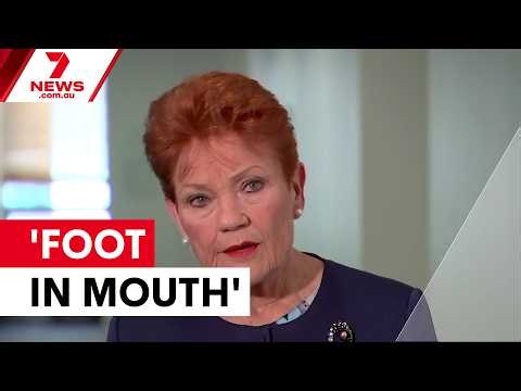 Hanson's qualified apology amid migration policy battle | 7NEWS