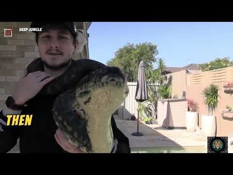Python Attacks: Real Footage & Shocking Facts You Never Knew