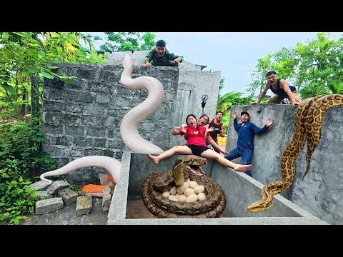 Brave hunters used high-tech snake detectors to locate the giant python's nest