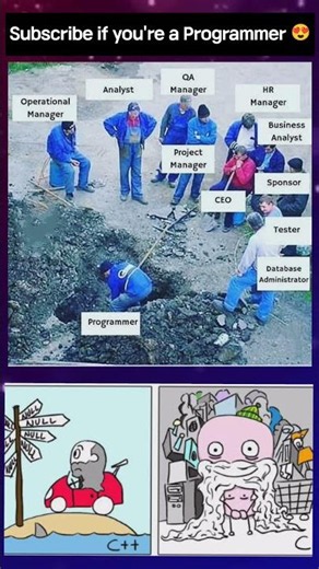 Software Engineer 😍😂||programming memes || coding memes #programming #developer #coding #memes #ai