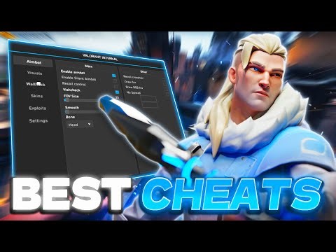 I Tested The BEST Valorant Cheat For 24 Hours... (INSANE Results)
