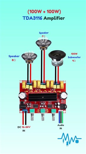 🔊Master TDA3116 Amplifier Wiring