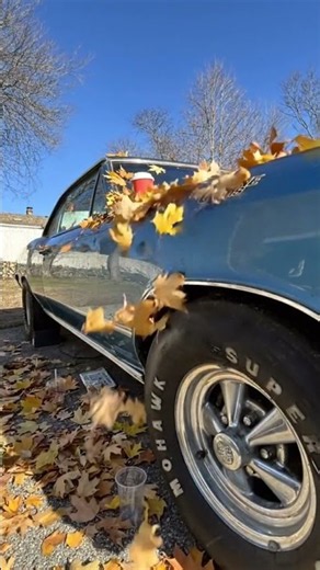 1967 chevelle ss Rescue Mission #chevroletperformance #rescue