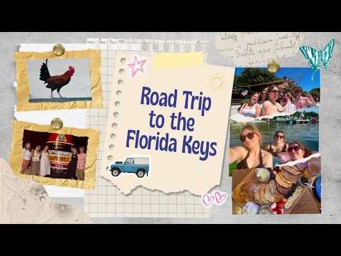 🌴 Florida Keys Road Trip! 🦈 Giant Fish, Kayaking & SO Many Chickens!