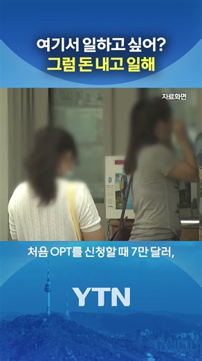 취준생은 서럽다… #shorts / YTN
