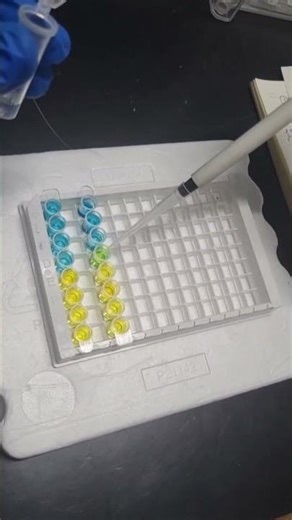 Every reagent tells a story, every reaction reveals a mechanism, and every experiment brings science