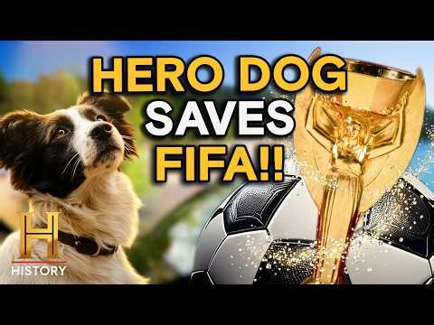 How a Dog Solved a Famous Heist (S2) | The UnBelievable with Dan Aykroyd