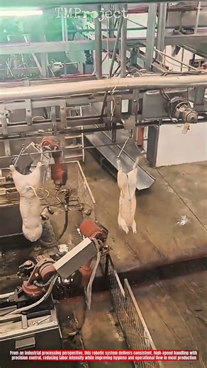 Innovative Robotic Pig Processing System: High-Efficiency Automated Meat Handling